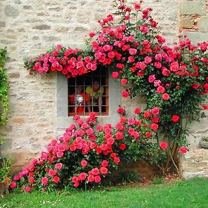 agriturismo-ai-frati.it-tuscanyhotel.com/
